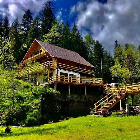 Cabana Cota 1000 Arieseni Luaran gambar