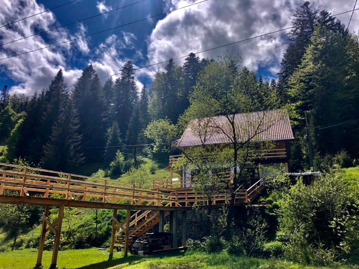 Cabana Cota 1000 Arieseni Luaran gambar